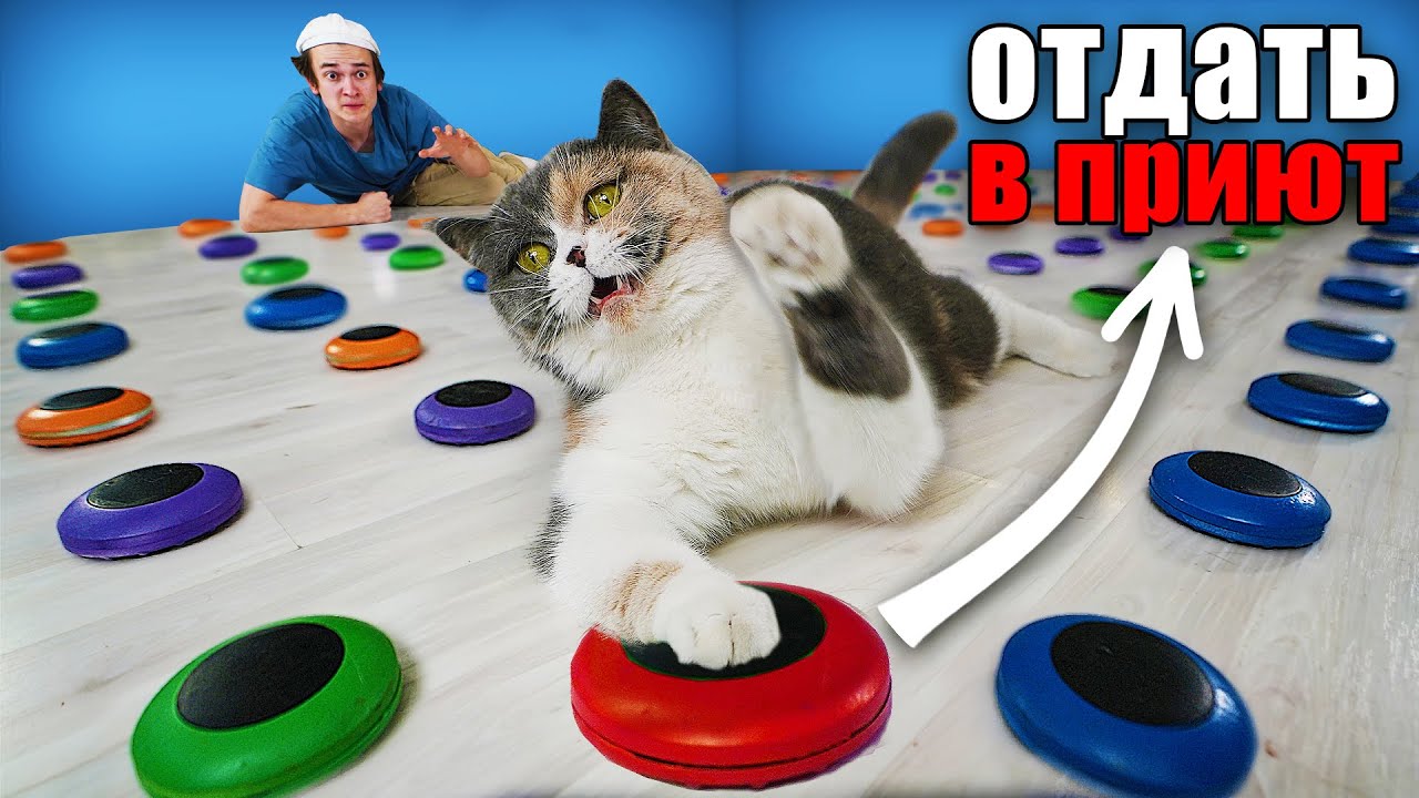 КОШКА УПРАВЛЯЕТ МОИМ ДНЁМ С ПОМОЩЬЮ КНОПОК * 100 КНОПОК ЧЕЛЛЕНДЖ *