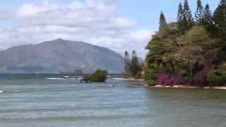 Windsurf Magenta Nouméa