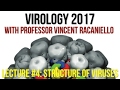 Virology Lectures 2017 #4: Structure of Viruses