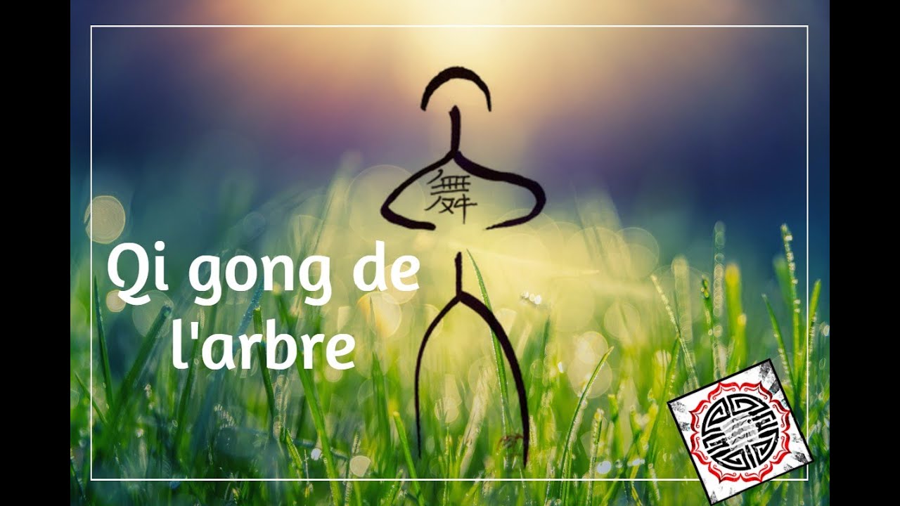 Qi gong méditatif: les bases de la posture de l'arbre - YouTube