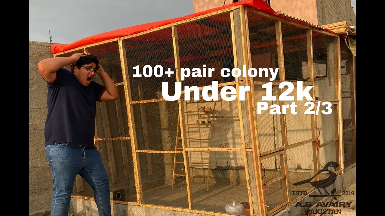 How to make bird colony at home part 2 ||100 pair colony under 12k 😱 ...