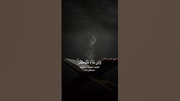 تلاوة القرآن الكريم #islamicvideo #المصحف #اكسبلور #راحة_نفسية