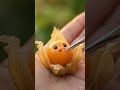 A Tiny Glowing Pearl in a Paper Shell! 🥹 Tiny Physalis Mini Munch  #asmr #viral #oddlysatisfying