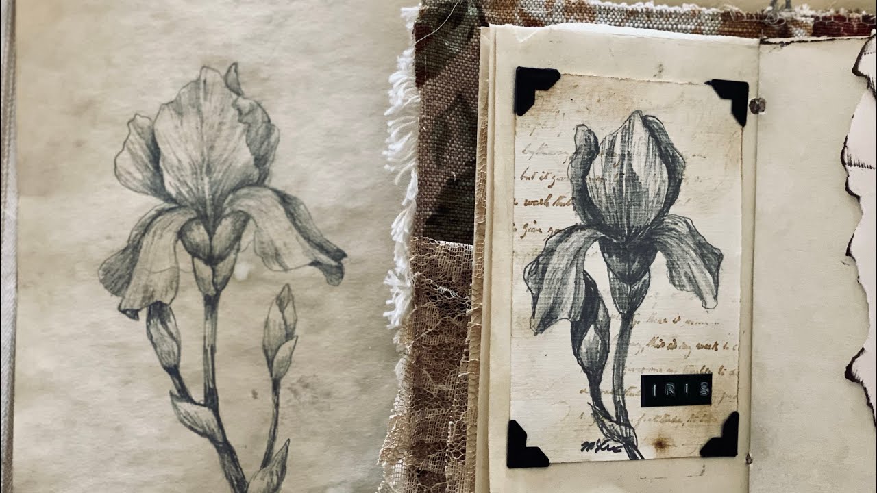 Как нарисовать ирис — быстрый набросок