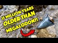 We Go Fossil Hunting and Find Shark Teeth Older than #Megalodon!! #FossilHunting