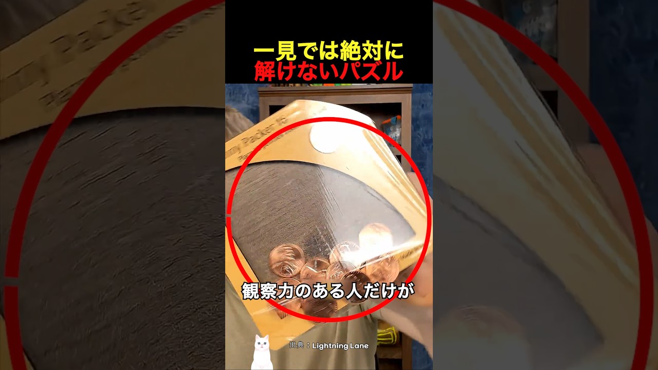 一見では絶対に解けないパズル