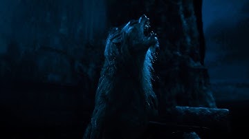 Underworld Rise of the Lycans (2009) | King