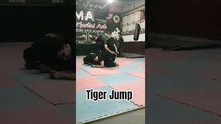 Celebrity Tiger Jump #bestselfdefense #fightback #mma #gymnast #karate #taekwondo Net Worth
