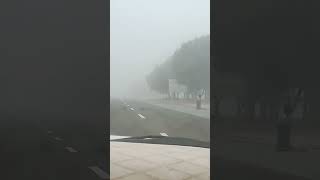 Download Lagu Foggy morning #morning #foggy #winter MP3