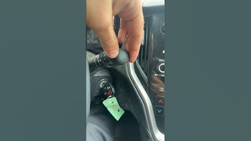 Hidden backup camera feature. does your vehicle have this?