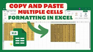 How To Copy And Paste Multiple Cells Formatting In Excel