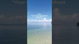 POV: Your future beachfront Property.