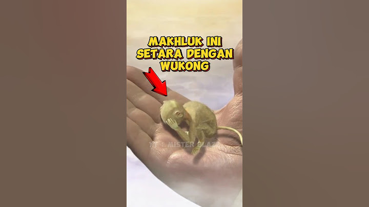 Makhluk Ini Setara Dengan Wukong ? Sun Wukong Minta Bantuan Buddha #blackmythwukong #wukong