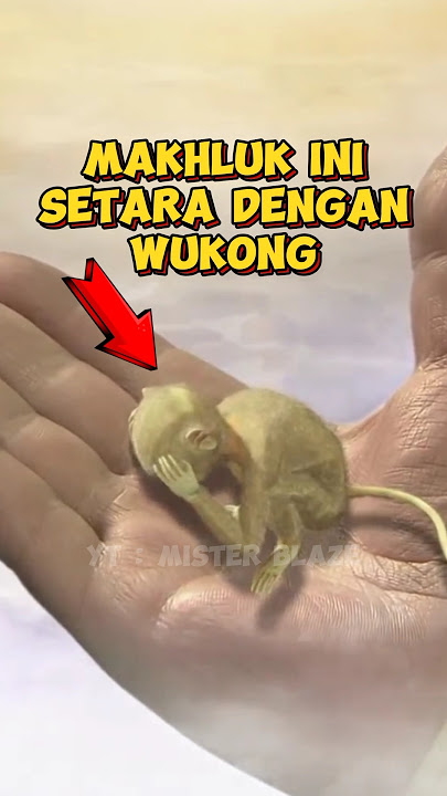 Makhluk Ini Setara Dengan Wukong ? Sun Wukong Minta Bantuan Buddha #blackmythwukong #wukong