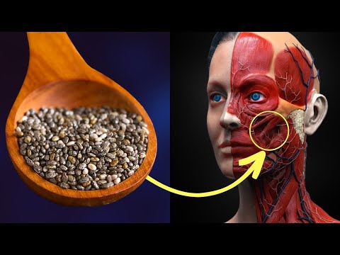 O Que Acontece Quando Você Começa A Comer Sementes De Chia Todos Os Dias