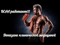 ВСАА не работают только на ДЕБИЛАХ? Предтреники убивают Сердце