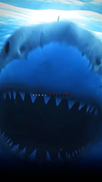 Joe Rogan reacts to Great White Shark attack