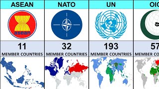 Most Popular Alliance Around The World 2025 