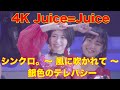 4K Juice=Juice  シンクロ。 ~ 風に吹かれて ~ 銀色のテレパシー  &#39;19秋  歌詞付