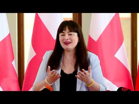 ყველა ერთიანად წერას რომ ყავს ატანილი, ეს არის ანტიდასავლური კამპანიის ნაწილი- ლანა გალდავა