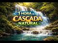 1 Hora de Relajación intensa 🌊 Cascada Natural para Dormir y Calma