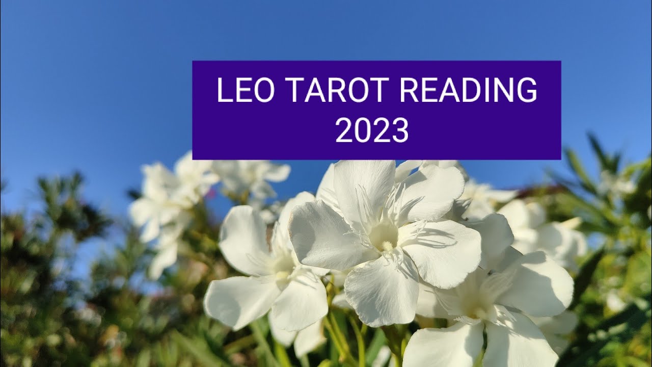 🦁LEO TAROT READING FOR 2023 YouTube