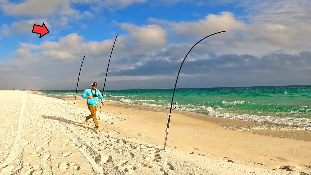 Рыбалка с берега этой зимой была просто потрясающей! (Неужели я только что поймал свою самую боль...