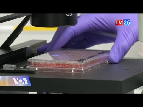 ზომაზე მეტი ალკოჰოლის მოხმარება გენეტიკას აზიანებს