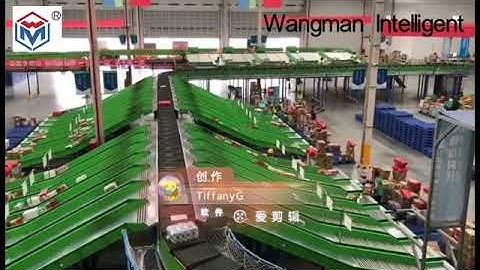 Our new sorting project: high speed package sorting system