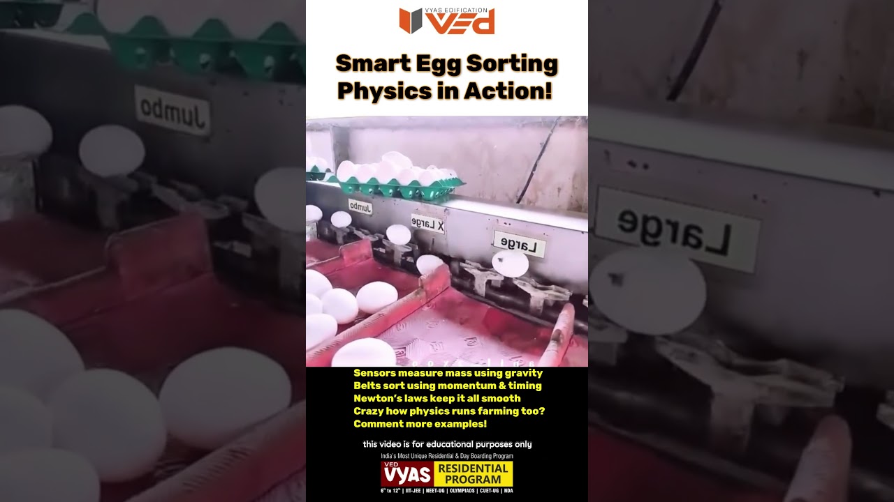 Smart Egg Sorting Machine? 🤯 It’s Pure Physics in Action! 🥚⚙️
