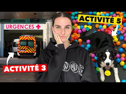 mon chien doit aller aux urgences...