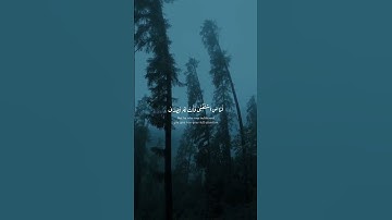 يا الله على الجمال😍 | سورة عبس | رواية إدريس عن خلف العاشر | محمد أحمد حسن