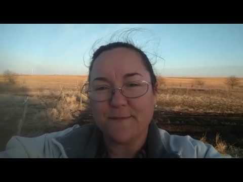 Frugal Friday Episode 2: Grow food all year! - YouTube