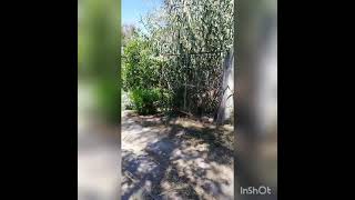 Rancho los sauces