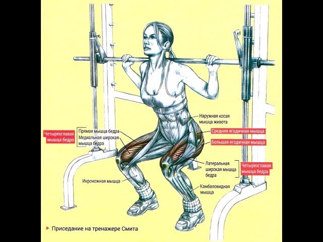 Приседания в тренажёре Смита - техника выполнения