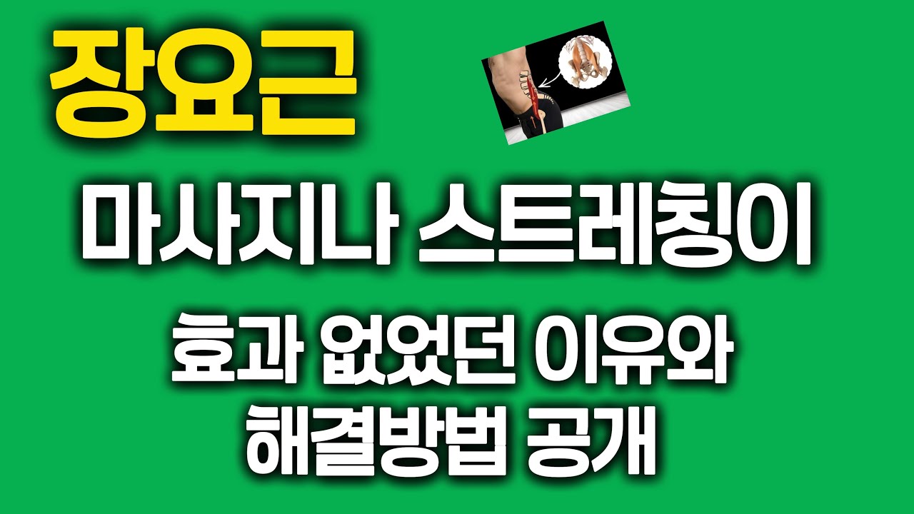 장요근 스트레칭 해도 효과 없는 이유와 해결방법