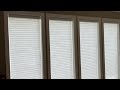 Motorized Cellular Roller Shades | PowerView by Hunter Douglas | St. Louis, MO Window Shades