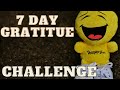 7 Day Gratitude Challenge | 7 Days of Gratitude | Gratitude Journal | Gratitude | Introduction