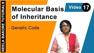 Genetic Code | Codons Stop Start Codons Wobble Hypothesis | NEET Class 12 | Neela Bakore Tutorials