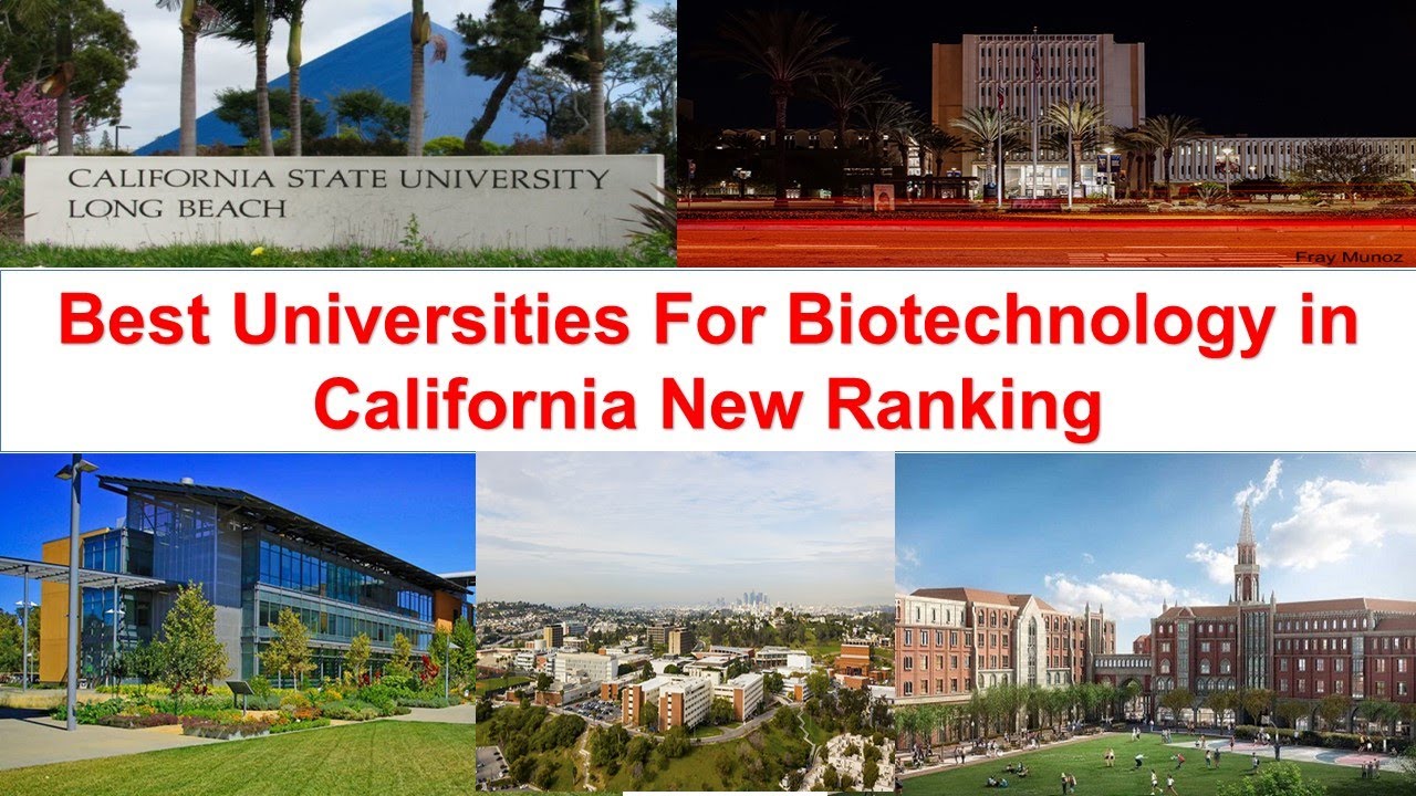 Best UNIVERSITIES FOR BIOTECHNOLOGY IN CALIFORNIA New Ranking YouTube