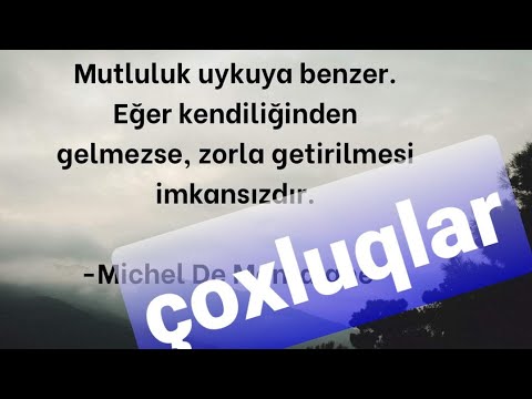 Video: Bir avtomobildə çoxluq nədir?