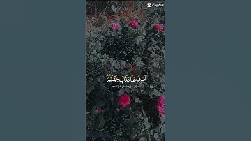 ماشاءالله تبارك الرحمن تلاوات خاشعة 🤍 وصوت جميل 🥺