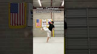 Beginner Martial Arts Demo/Tricking Combos - Taekwondo Karate