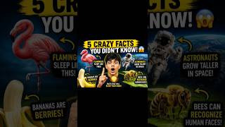 crazy facts..that you didn't know😱😨#factaholic #facts #facthilic #factholic #factoholic #shorts