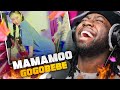 MAMAMOO 마마무 Gogobebe 고고베베 M V REACTION REVIEW