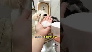 This custom shower head for body wash is amazing #Sharing good things with dogs#Dog shower
