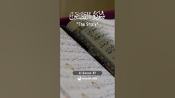 Surah Al-Qasas 87 | Hindi - Urdu Audio translation | سورة القصص #alqasas #hindi #urdu #viral