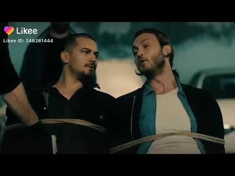 Like videos-ლაიკის ვიდეოები