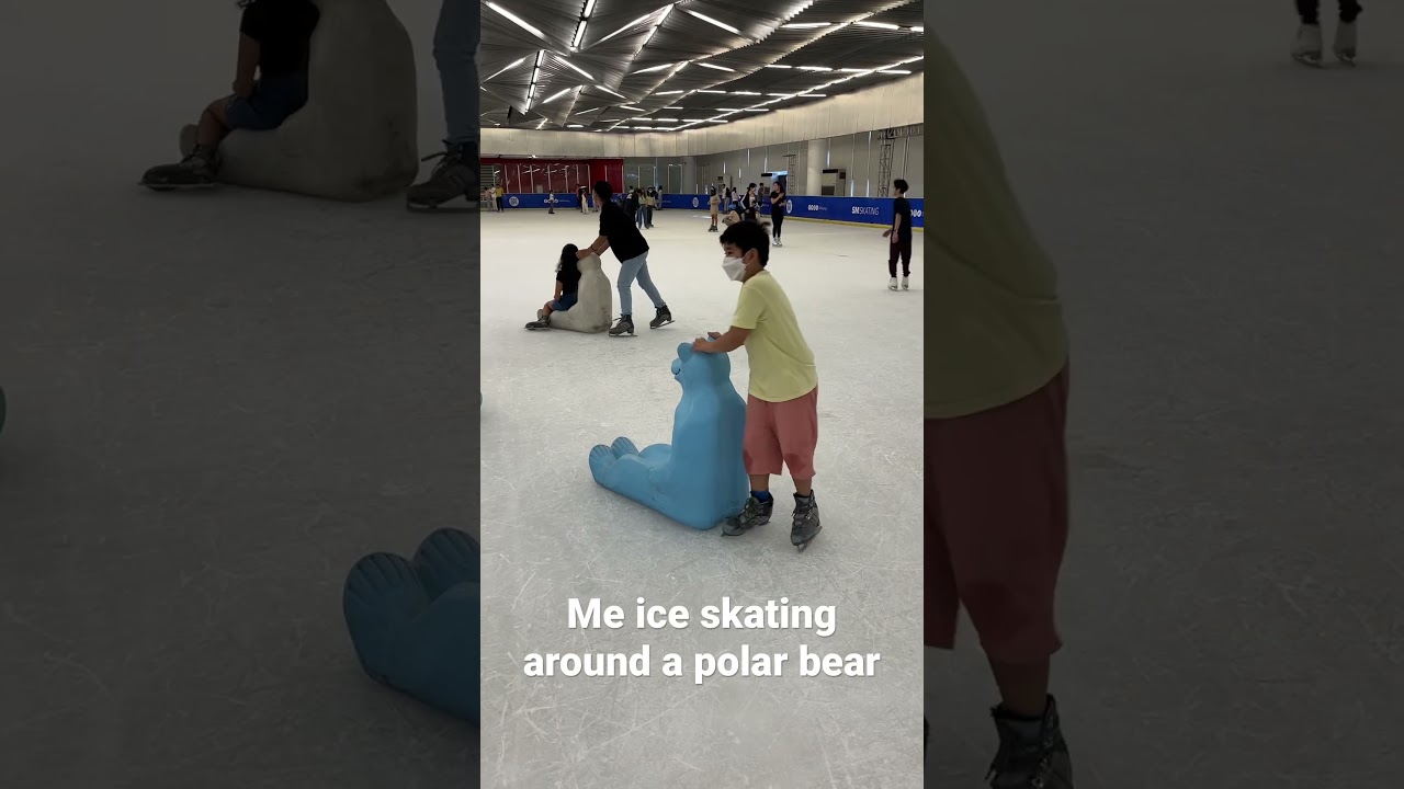 Me ice skating around an polar bear 