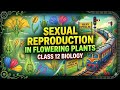 Sexual Reproduction in Flowering Plants One Shot | Class 12 Biology | NCERT NEET 2027